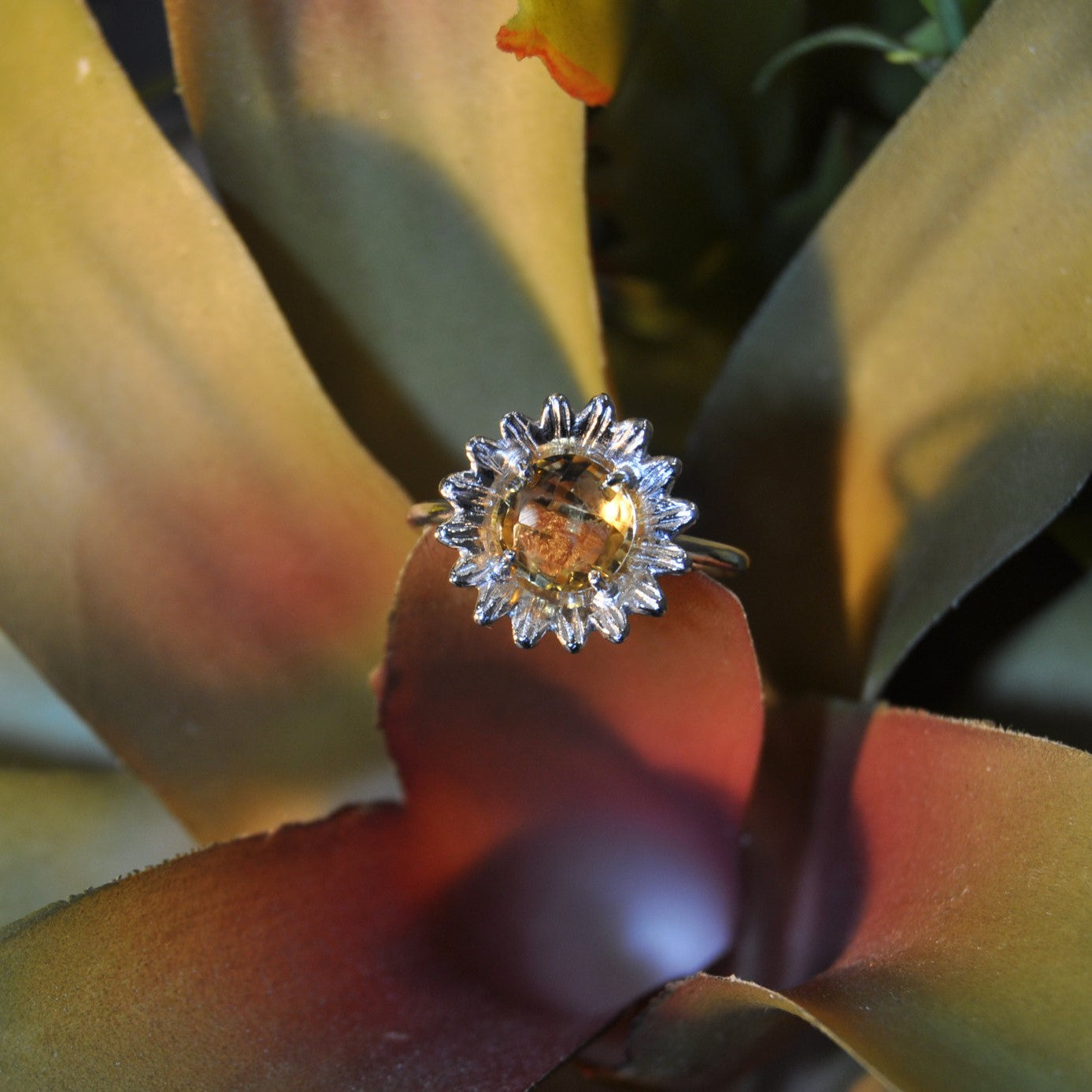 Solitario Girasole con pietra